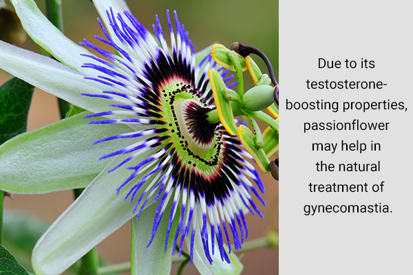 passionflower can be helpful in treating gynecomastia naturally