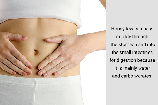 honeydew lemon can aid in digestion