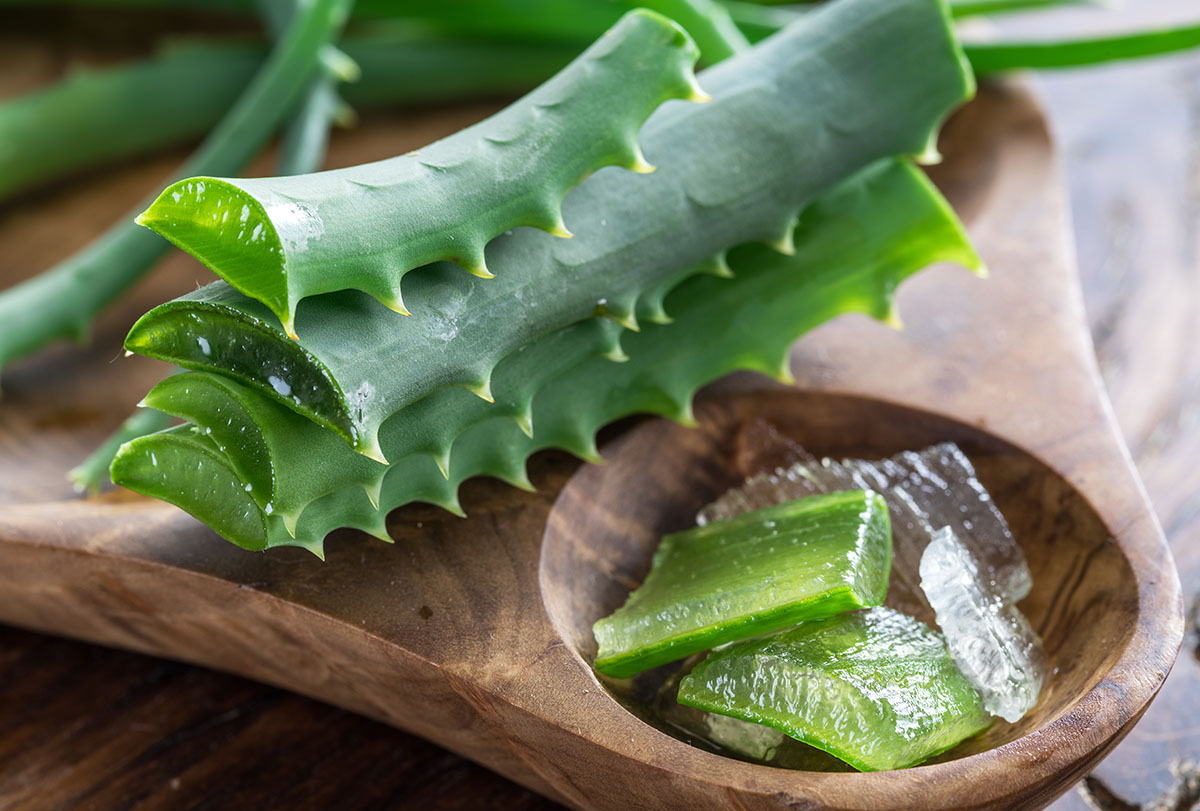 ways to consume aloe vera for its benefits
