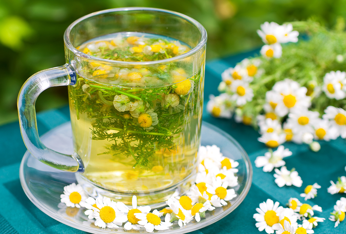 chamomile tea health benefits and precautions