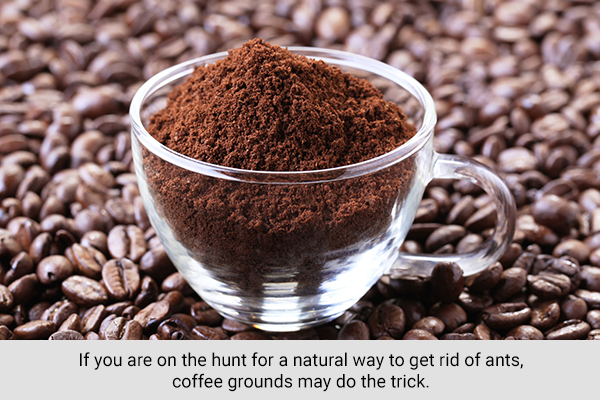 sprinkling coffee grounds around your house can help get rid of ants