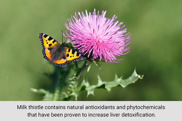 consuming milk thistle can aid liver detox and prevent heavy metal exposure