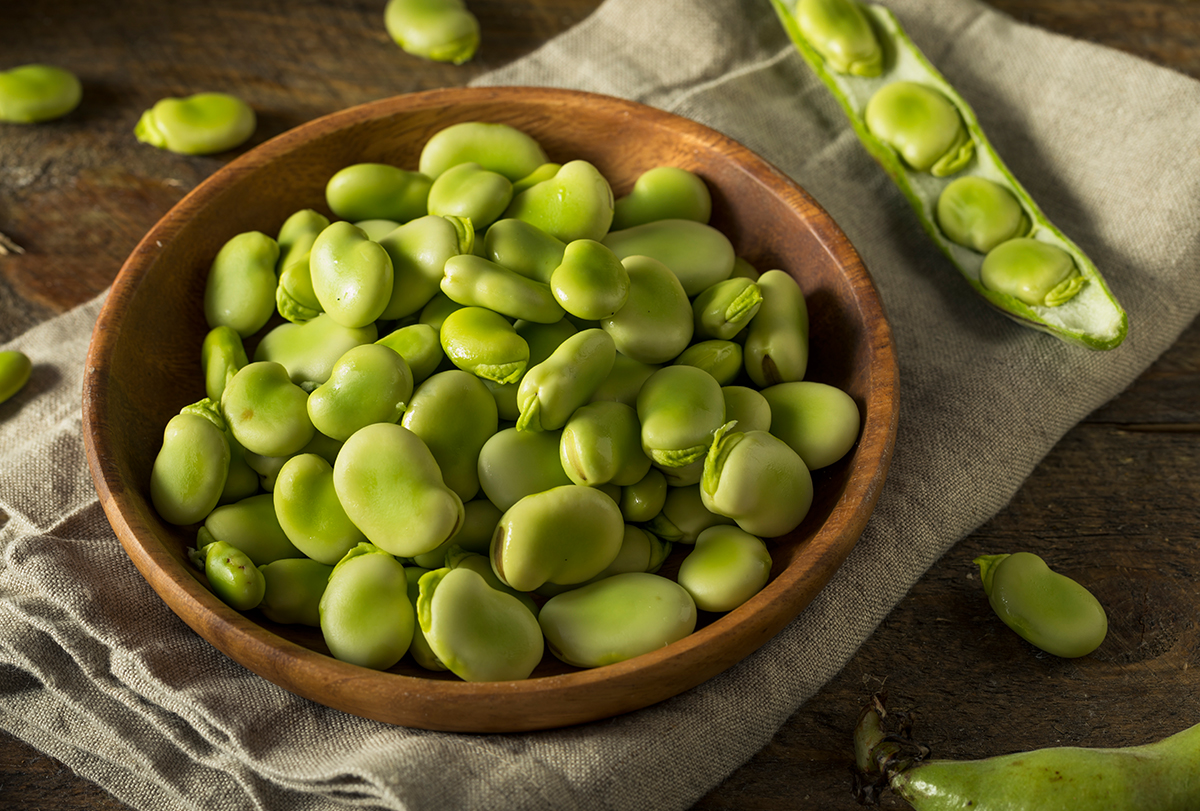 fava beans: nutritional value and health benefits