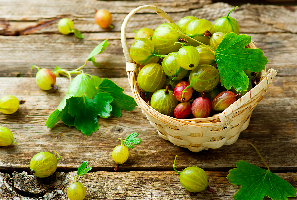 Indian gooseberry (amla): health benefits and nutritional value