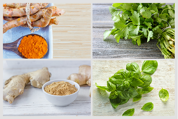 herbs like turmeric, cilantro, ginger, and basil can improve your health