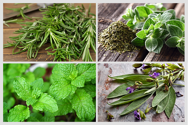 herbs like rosemary, oregano, peppermint, and sage can boost your health