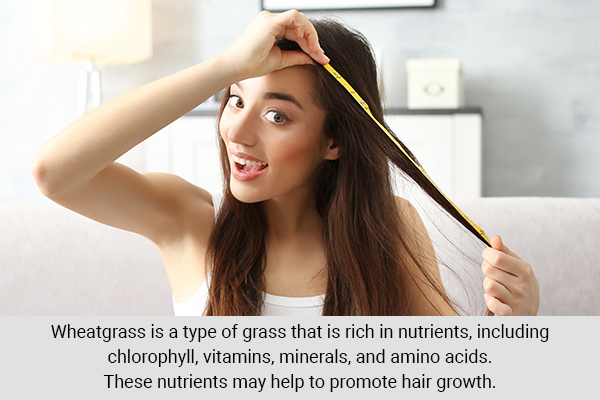 how does wheatgrass powder help with hair loss?