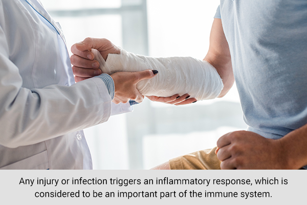 an inflammatory response could be an important part of the immune system