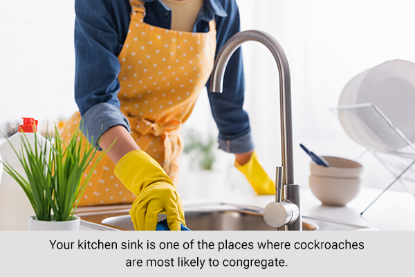 keeping your sink clean can help prevent cockroaches from congregating