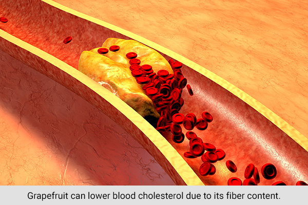 grapefruit consumption can help lower blood cholesterol levels