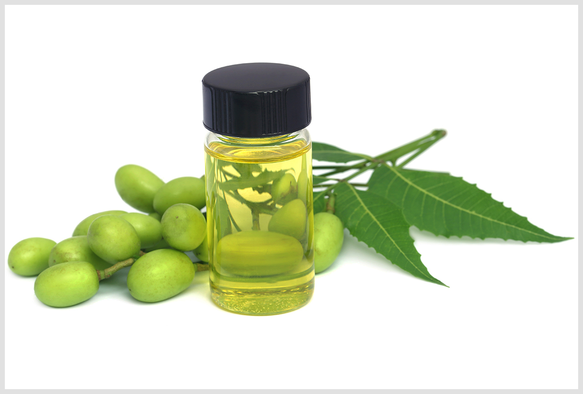 neem oil benefits for hair and skin