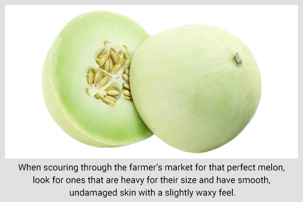 Honeydew Melon Nutrition Facts and Health Benefits