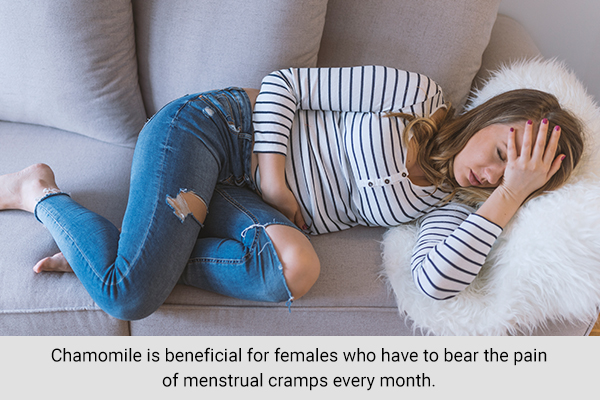 chamomile can help relieve menstrual cramps in women