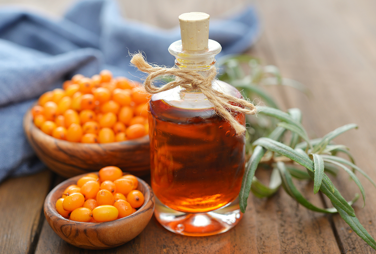 sea buckthorn oil: benefits and nutrition