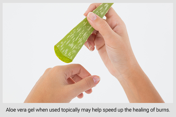 aloe vera usage on skin can help enhance burn healing