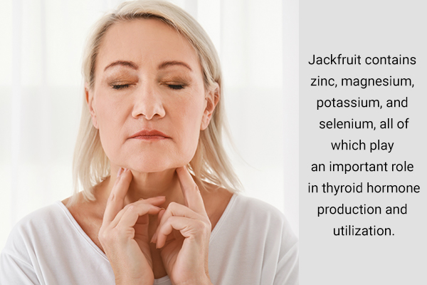 jackfruit consumption can help support thyroid health