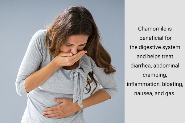 drinking chamomile tea can help treat digestive ailments
