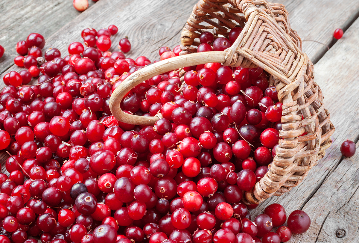 cranberries: health benefits and nutrition facts