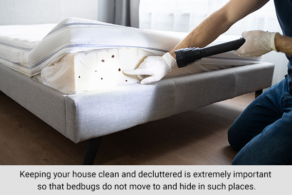 keeping your house clean and decluttered can help prevent bedbug infestation