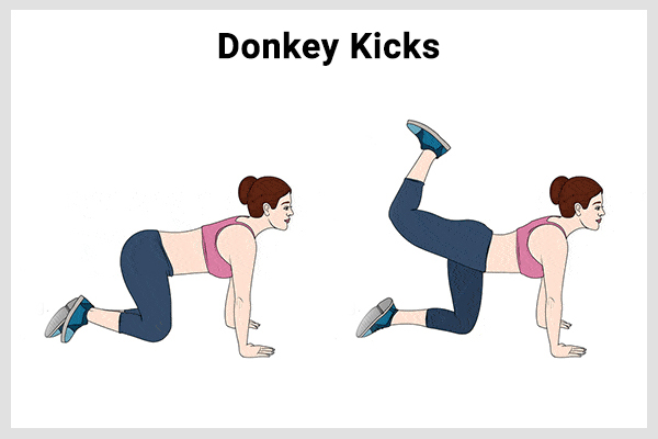 donkey kicks are a good exercise to obtain bigger butt