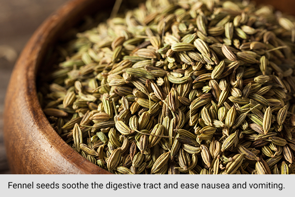 fennel seeds soothe the digestive tract and help ease nausea and vomiting