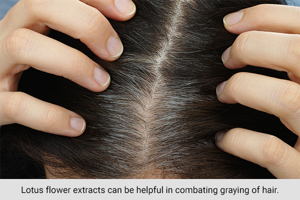 lotus flower extracts can be helpful in combating premature hair graying
