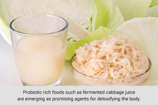 consuming fermented cabbage juice can aid in body detoxification