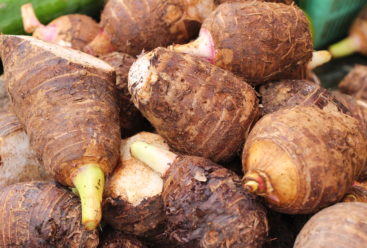 taro roots: health benefits and how to consume