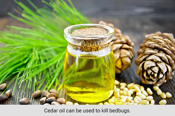 cedar oil is a natural bedbug repellant and can help kill bedbugs