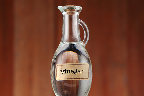 can you use vinegar as a skin toner?