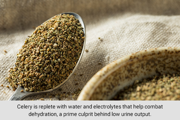 celery seeds consumption can help combat dehydration and increase urine output