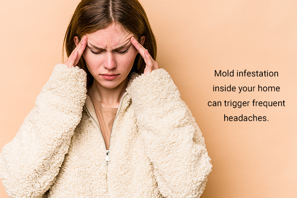 mold infestation inside your house can trigger frequent headaches