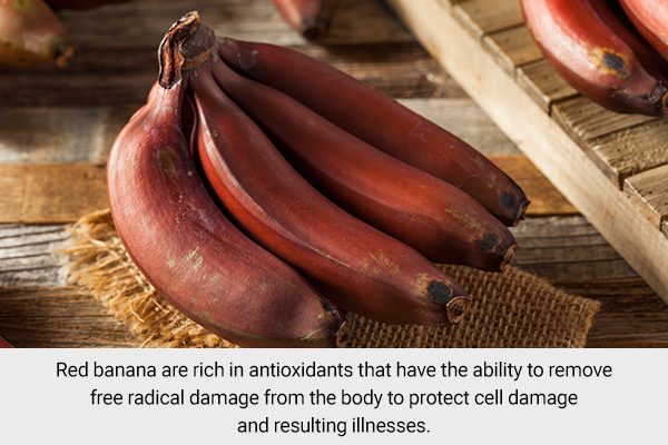 nutritional profile of red bananas