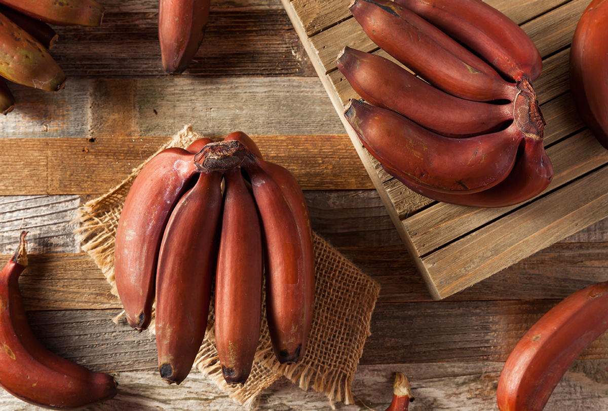 red bananas for weight loss