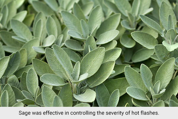 sage usage can help control severity of hot flashes in women