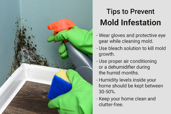 ways to prevent mold infestation around your living space