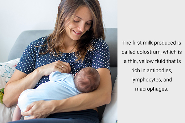 additional info about breastfeeding and breast milk production to know