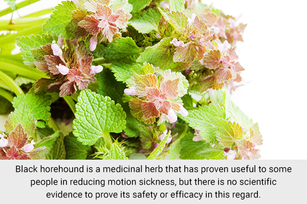 use black horehound can help reduce motion sickness