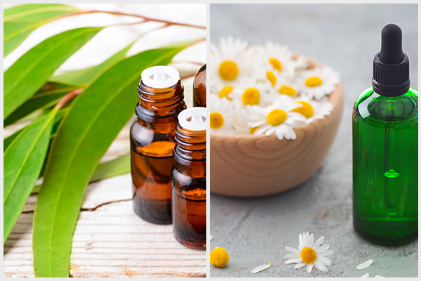 eucalyptus and chamomile essential oil can also help reduce migraine risk