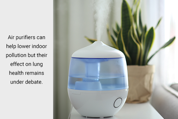 installing an air purifier in your home can help lower indoor pollution