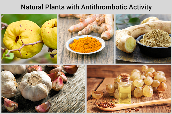 natural plants and herbs with antithrombotic activity