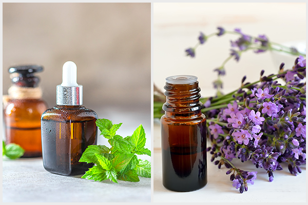 peppermint and lavender essential oil can help reduce migraine risk