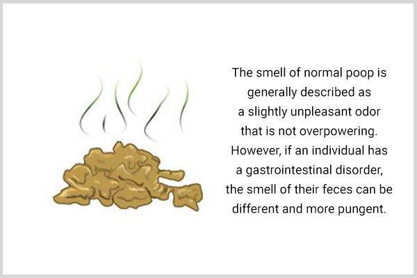the smell of normal poop has slightly unpleasant odor and can be even more pungent