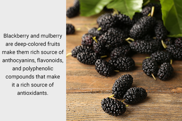 practical takeaways regarding mulberry and blackberry