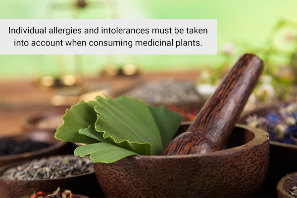 practical takeaways regarding the most powerful medicinal plants