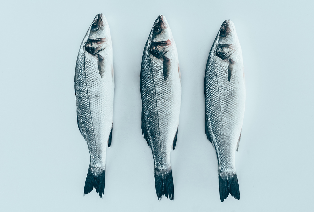 saltwater vs freshwater fish – which is healthier?