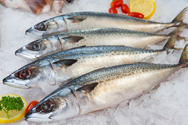 should you only eat saltwater fish?