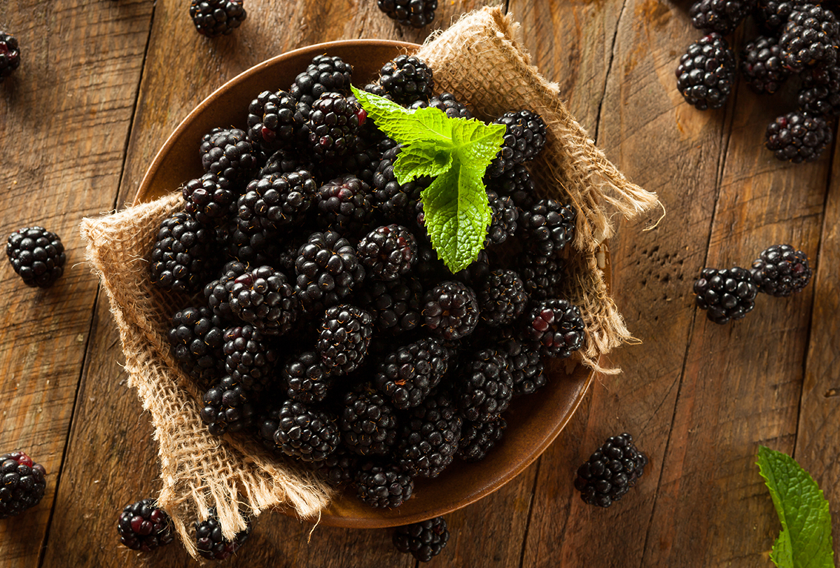 mulberry or blackberry – which is better?