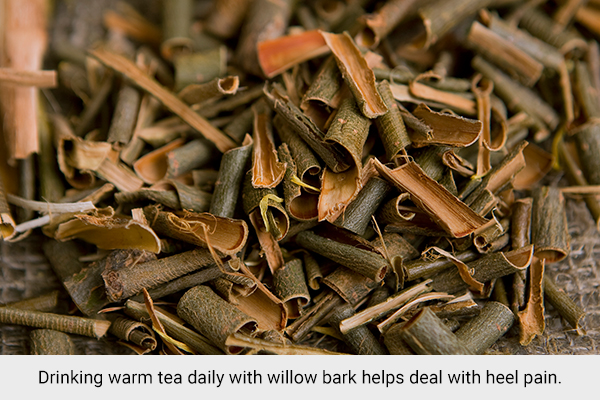 drink warm tea daily with willow bark to relieve heel pain