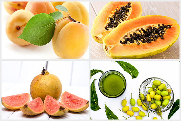 using apricot, papaya, guava, and neem can help get rid of amebiasis